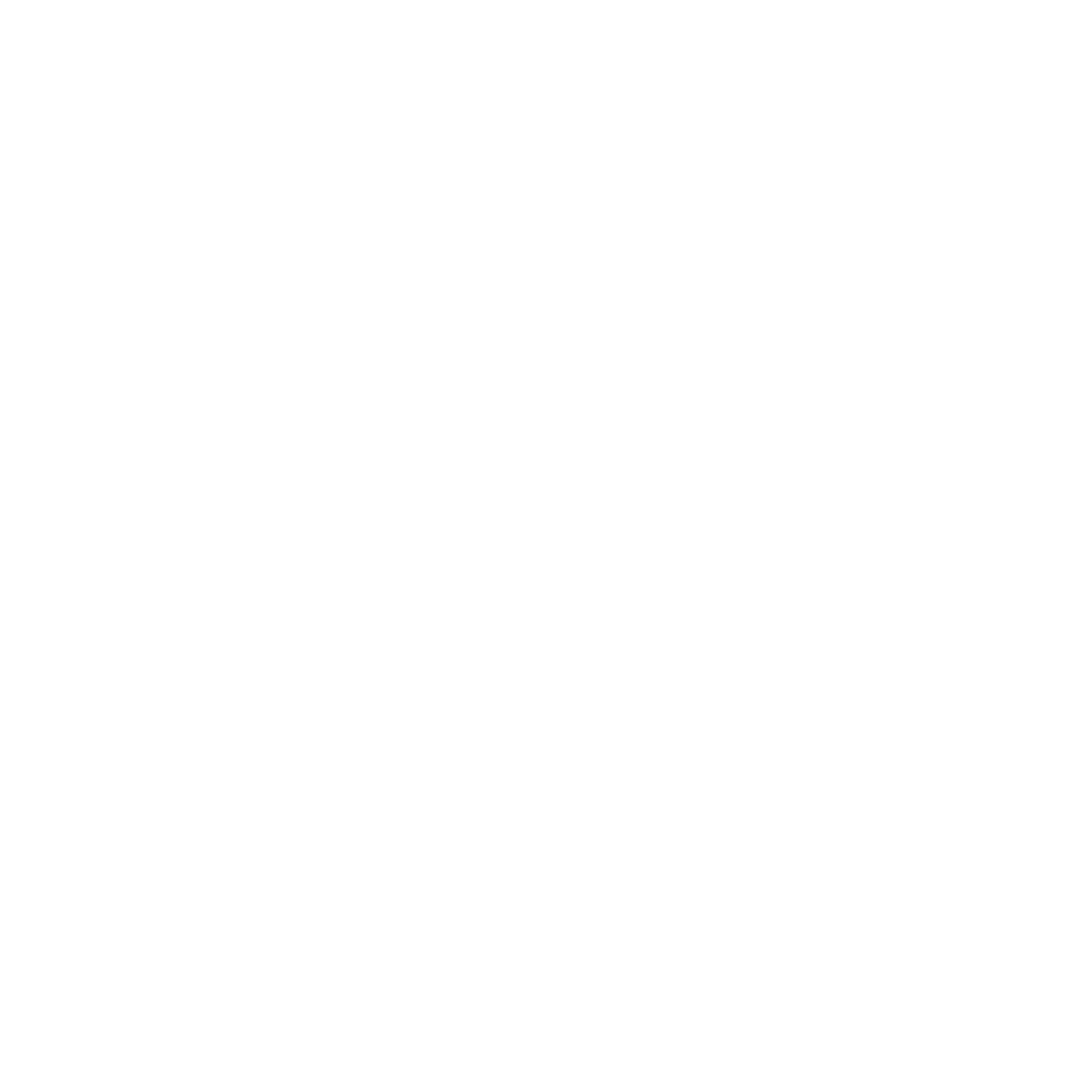 Boom Workshop Logo White trans